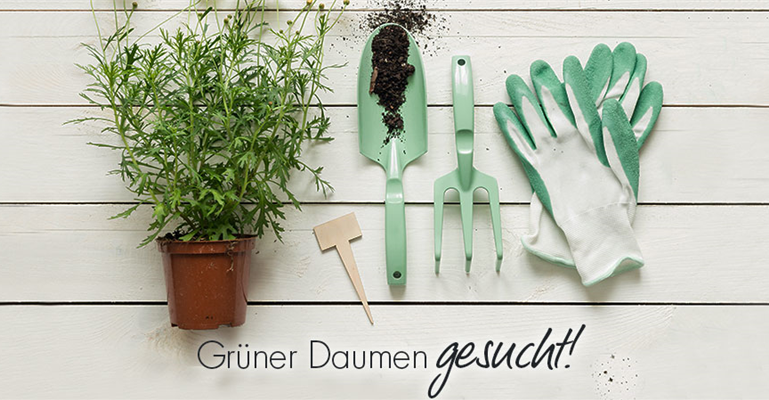 Grüner Daumen gesucht